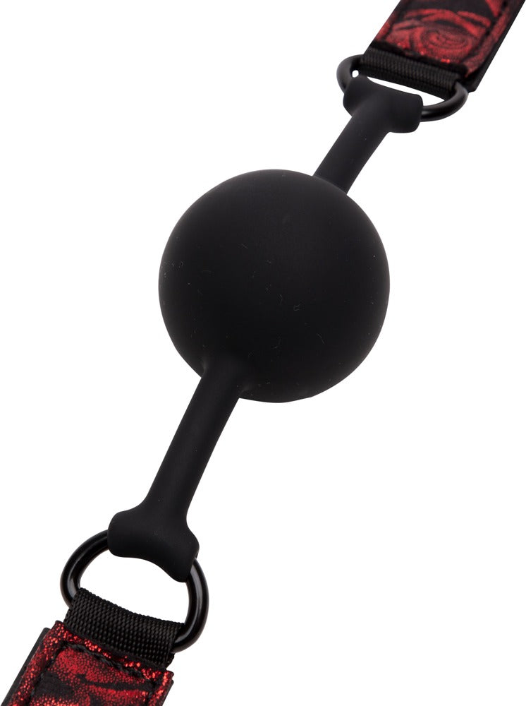 Fifty Shades of Grey Sweet Anticipation Ball Gag