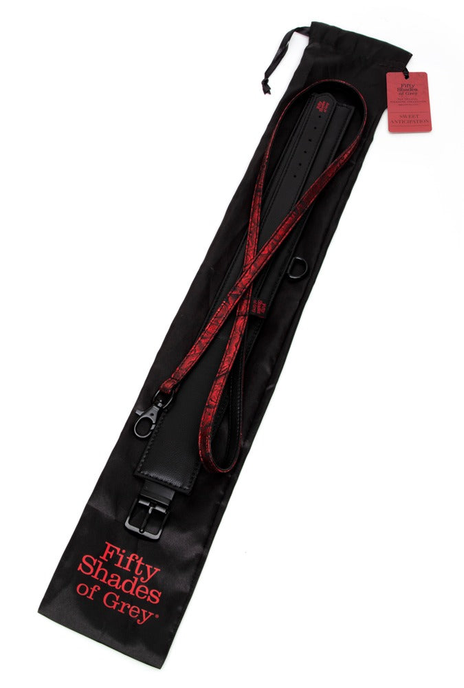 Fifty Shades of Grey Sweet Anticipation Collar and Lead
