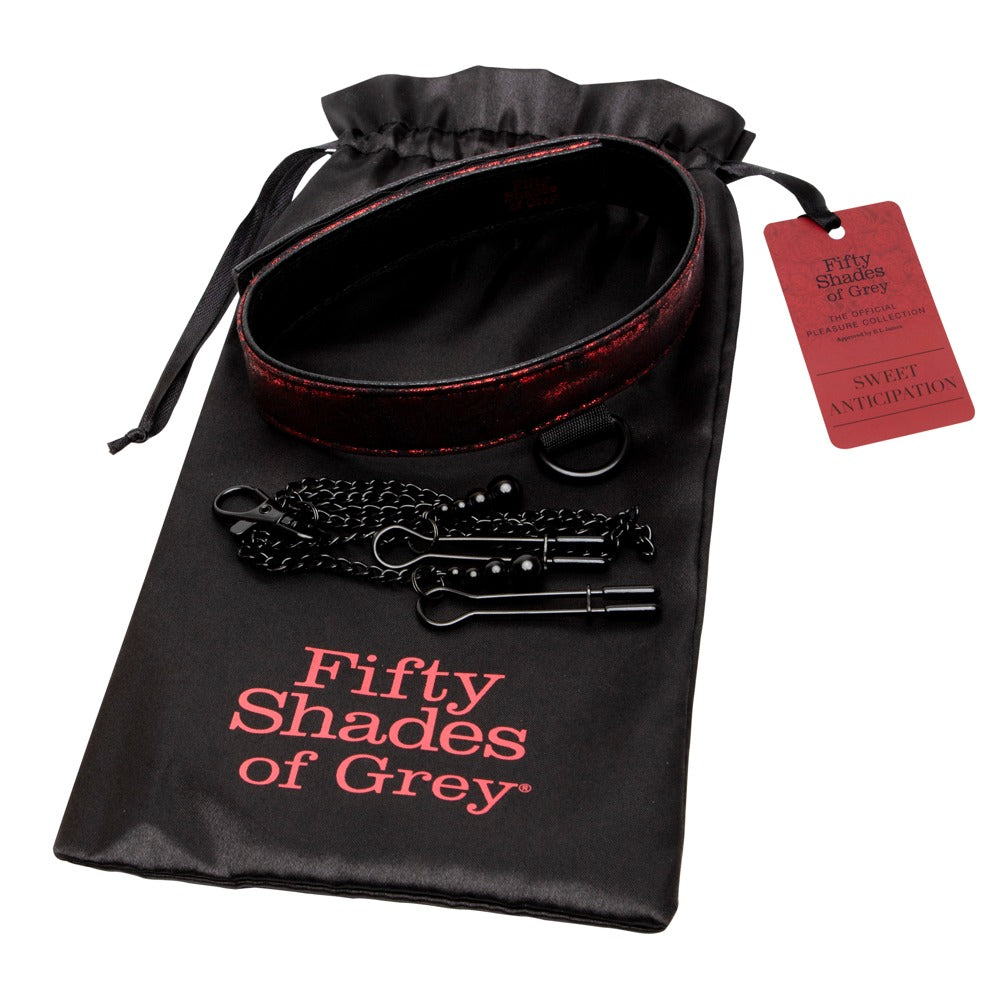 Fifty Shades of Grey Sweet Anticipation Collar Nipple Clamps
