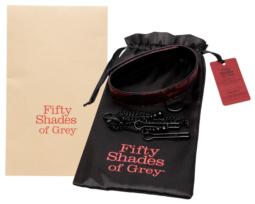 Fifty Shades of Grey Sweet Anticipation Collar Nipple Clamps