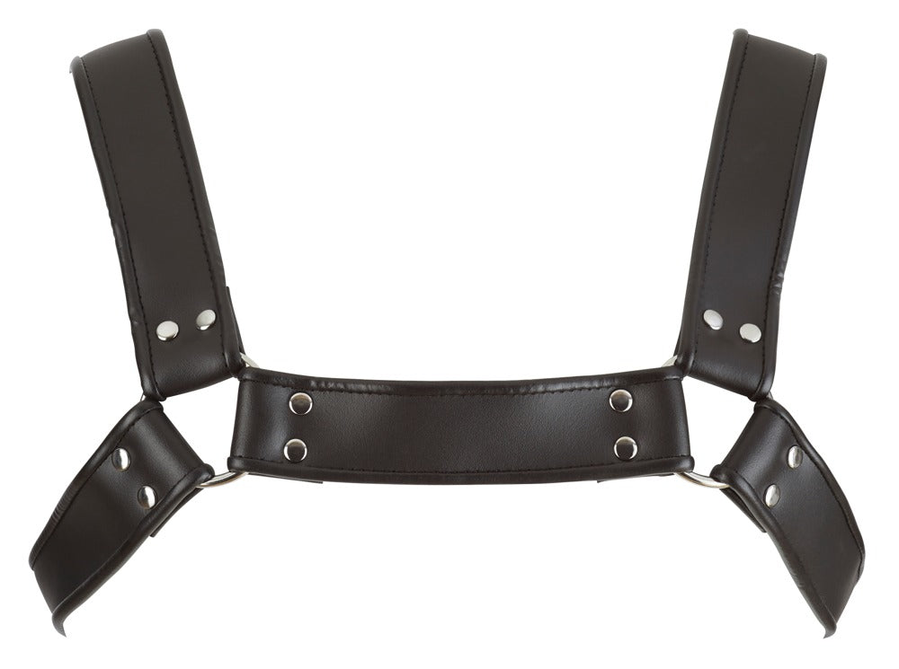 ZADO Harness