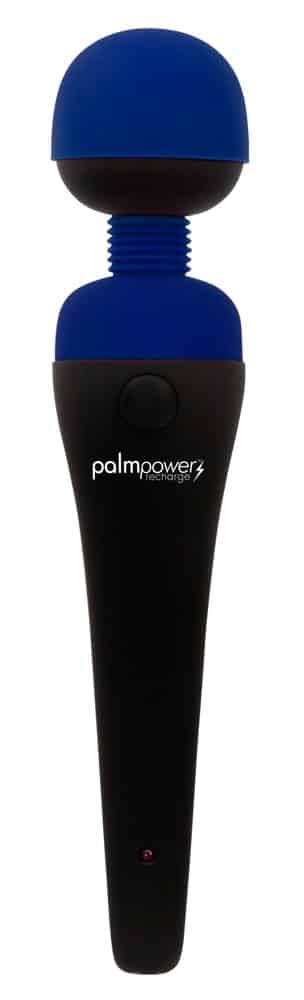 palmpower Palmpower recharge
