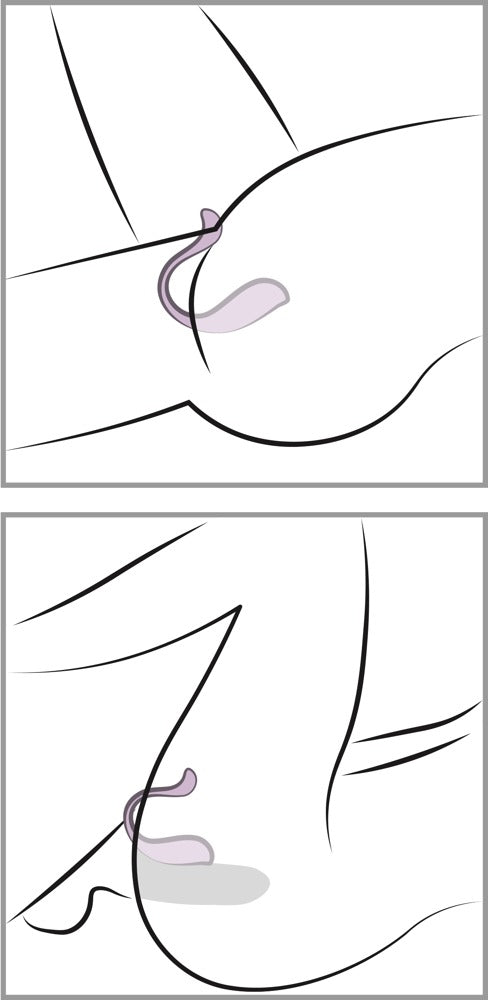 SVAKOM Phoenix Neo 2