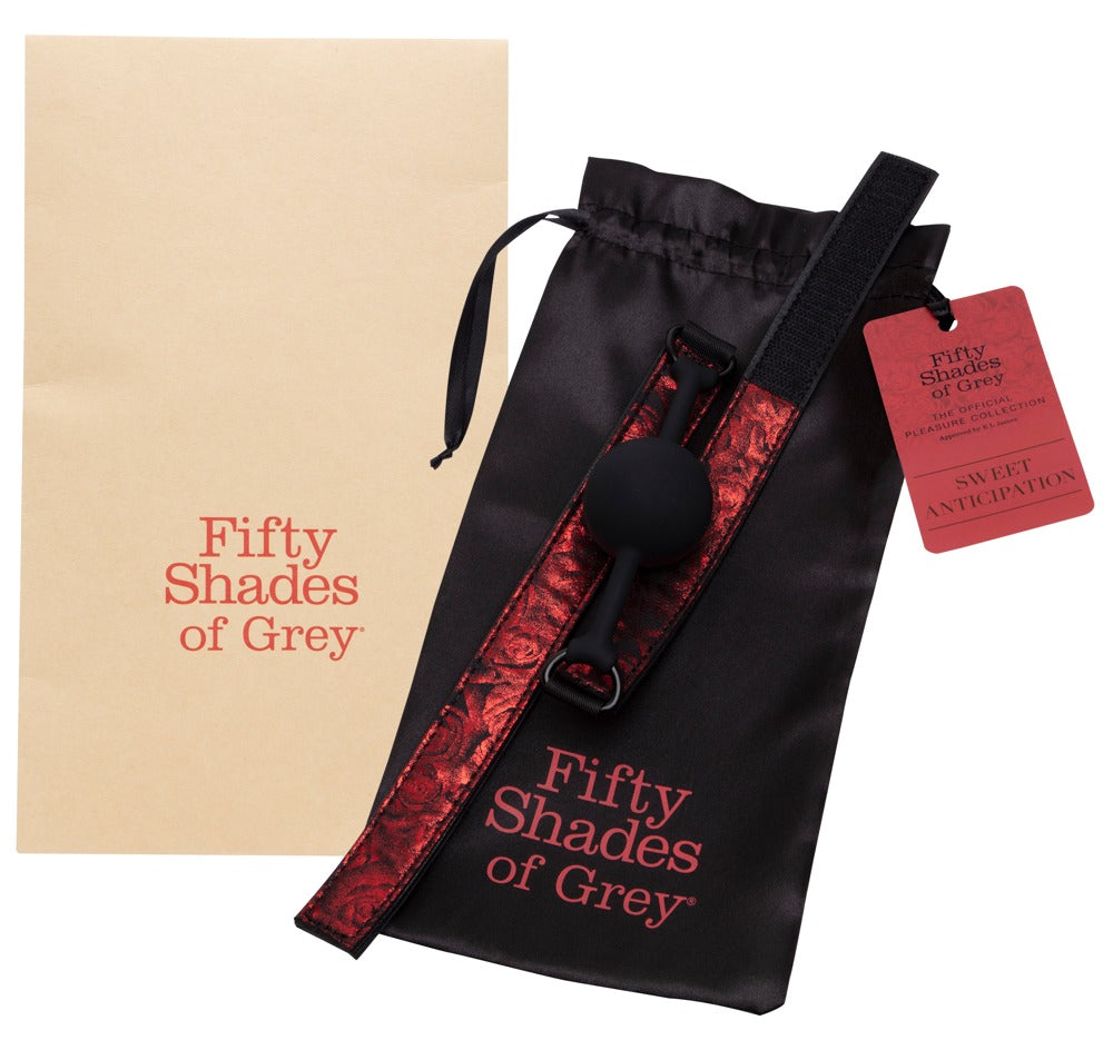 Fifty Shades of Grey Sweet Anticipation Ball Gag