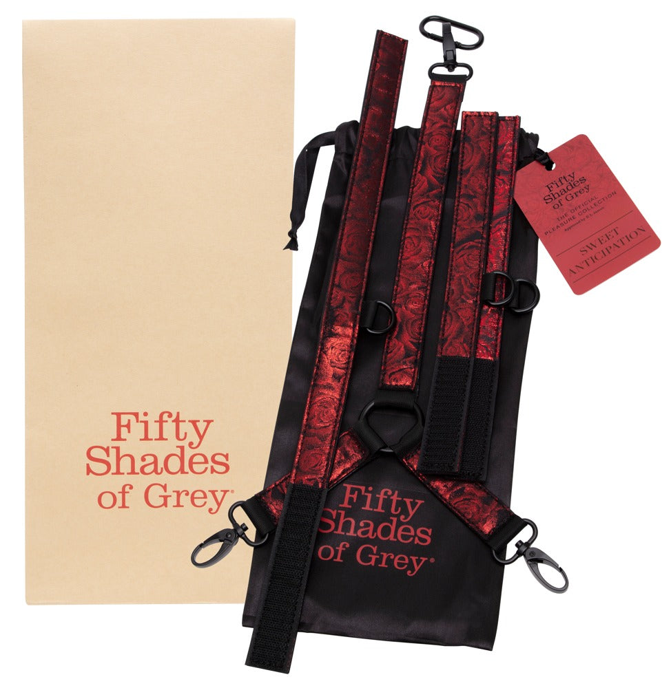 Fifty Shades of Grey Sweet Anticipation Collar and Wrist Cuffs