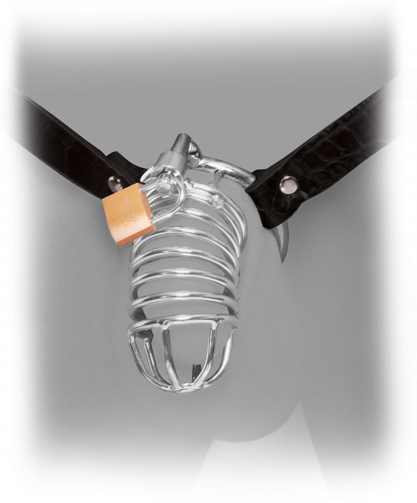 Fetish Fantasy Extreme Extreme Chastity Belt
