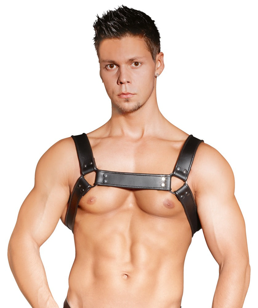 ZADO Harness