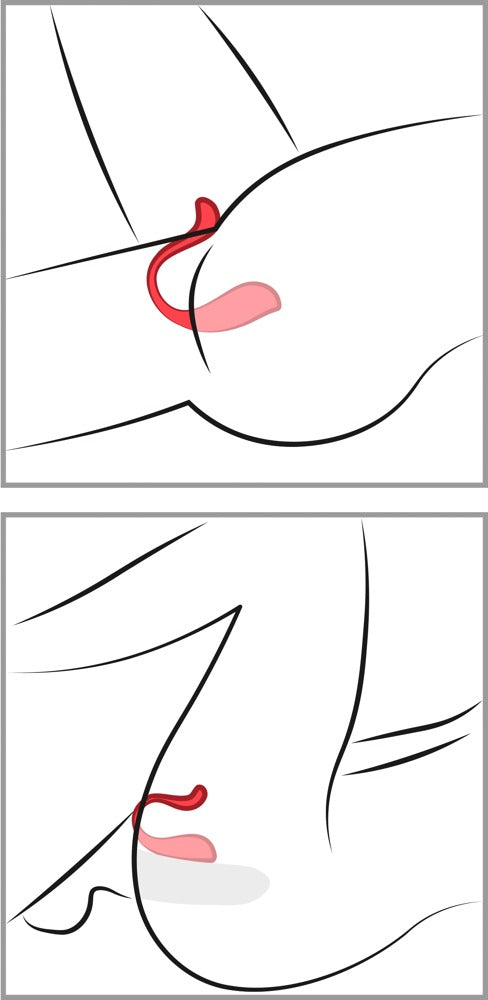Svakom Vibrator Phoenix Neo